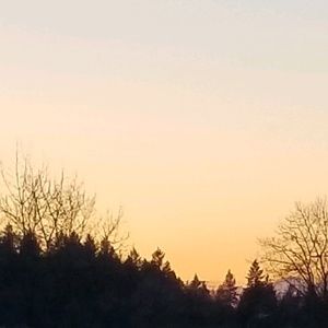 Meet your Posher, Angelica